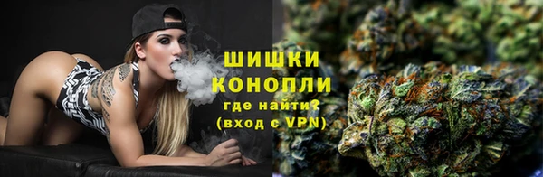 индика Заводоуковск