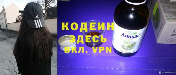 индика Заводоуковск