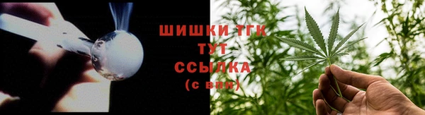 индика Заводоуковск