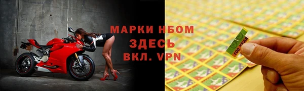 индика Заводоуковск