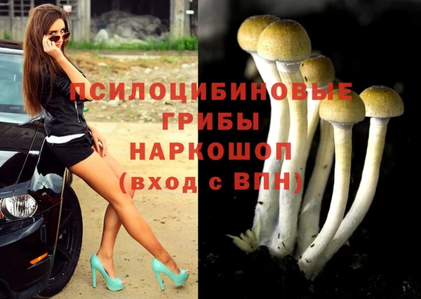 альфа пвп Заволжье
