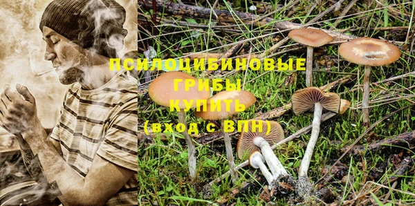альфа пвп Заволжье