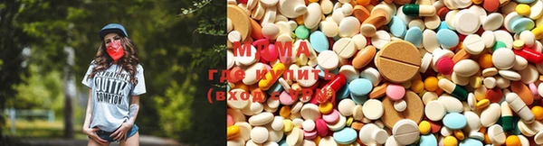 индика Заводоуковск