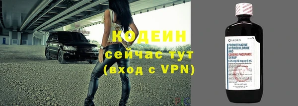индика Заводоуковск